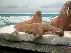 Virtual Date With Taylor Whyte Part 1