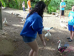 Virtual Vacation In Hawaii With Karly Baker Part 5