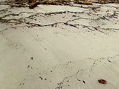I Find A Lonely Girl On The Beach And She Sucks My Cock