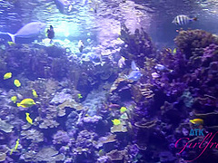 Virtual Vacation In Hawaii With Ashley Adams Part 2