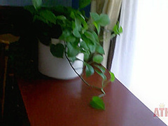 Photo shooting Riley Reid