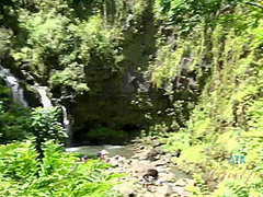 Virtual Vacation Hawaii With Nina Nirvana 8/11