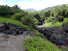 Virtual Vacation Hawaii With Nina Nirvana 8/11