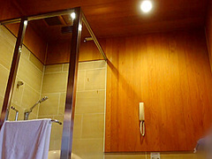 Asian Angel 3859 - SkyAngel