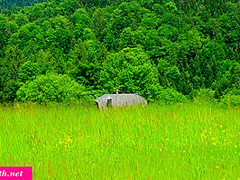 Teatea The Girl With Jeny Smith