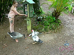 Virtual Vacation In Hawaii With Rococo Royalle Part 5