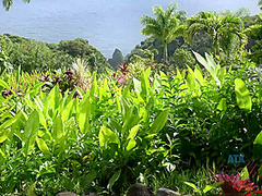 Virtual Vacation In Hawaii With Rococo Royalle Part 5