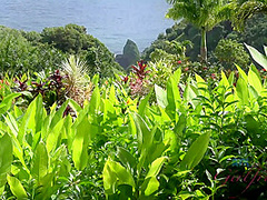 Virtual Vacation In Hawaii With Rococo Royalle Part 5