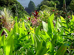 Virtual Vacation In Hawaii With Rococo Royalle Part 5