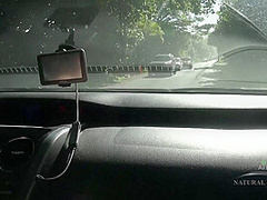 Amateur Travelogue With Sativa Verte