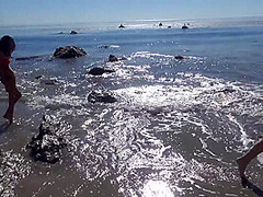 Are You Ready To Double Your Fun?