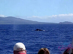 Virtual Vacation In Hawaii With Manson Part 5