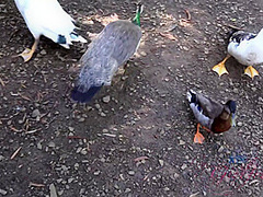 Virtual Vacation On Hawaii With Olivia Lua 3/9