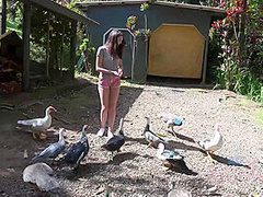 Virtual Vacation On Hawaii With Olivia Lua 3/9