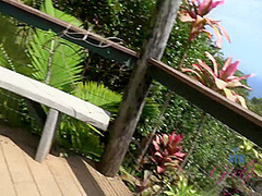 Virtual Vacation On Hawaii With Olivia Lua 3/9