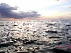 Virtual Vacation Hawaii With Jamie Marleigh 4/11