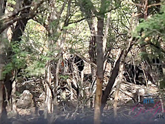 Virtual Vacation Hawaii With Jamie Marleigh 4/11