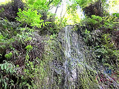 Virtual Vacation On Hawaii With Young And Nasty Dolly Leigh 6/11