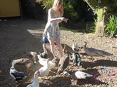 Virtual Vacation On Hawaii With Young And Nasty Dolly Leigh 6/11