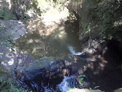Blonde Cutie Getting Her Tight Pussy Fucked In The Forest