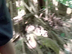 Blonde Cutie Getting Her Tight Pussy Fucked In The Forest