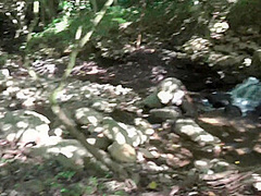 Blonde Cutie Getting Her Tight Pussy Fucked In The Forest
