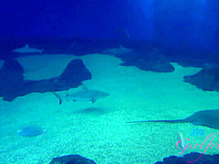 Virtual Vacation In Hawaii With Holly Hendrix Part 4