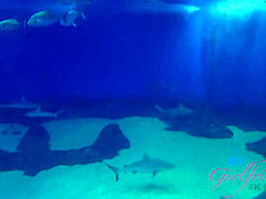 Virtual Vacation In Hawaii With Holly Hendrix Part 4