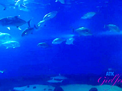 Virtual Vacation In Hawaii With Holly Hendrix Part 4