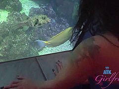 Virtual Vacation In Hawaii With Holly Hendrix Part 4