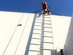 She Want Hard Cocks Scene-2_Slim Blonde With Small Tits Nicole Ray Fucking Hard In Various Scenarios