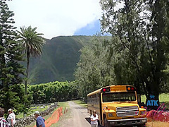 Virtual Vacation In Molokai With Emma Evins Part 2