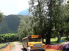 Virtual Vacation In Molokai With Emma Evins Part 2