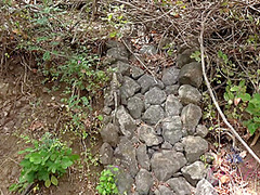 Virtual Vacation In Costa Rica With Odette Delacroix Part 1