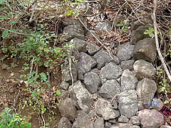 Virtual Vacation In Costa Rica With Odette Delacroix Part 1