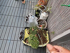 Stop Doing What Youre Doing - I Wanna Cum In Your Mouth