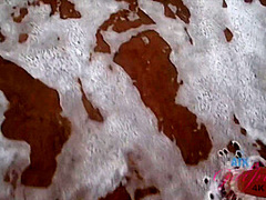 Virtual Vacation On Hawaii With Emma Hix 1/16