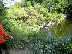 A Day With Miss Celeste Star Part 2