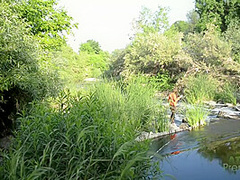 A Day With Miss Celeste Star Part 2