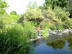 A Day With Miss Celeste Star Part 2