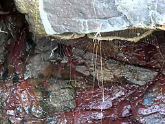 Virtual Vacation In Hawaii With Elena Koshka Part 1