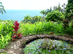 Virtual Vacation Hawaii With Scarlett Sage 5/6