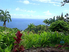 Virtual Vacation Hawaii With Scarlett Sage 5/6