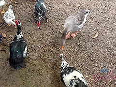 Virtual Vacation Hawaii With Scarlett Sage 5/6