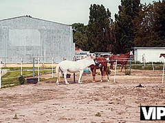 VIP4K. City Cock, Country Girls