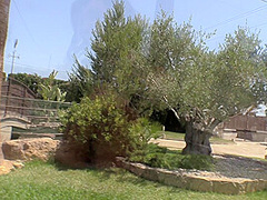 Luna Amor - Black Lace Teddy 1 - PinupFiles