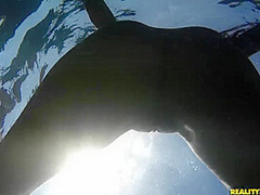 Amazing Beauties - RealityKings with Renato, Nia Black, Amirah Adara