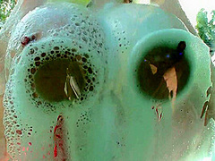 Lana Kendrick - Car Wash 3 - PinupFiles