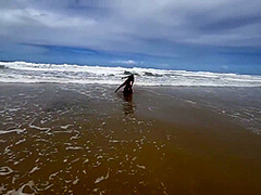 Pitbull Porn And Loira Luxx In Fudendo A Gostosa Na Praia Com Todo Mundo Vendo 12 Min