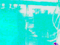 Danniella Levy - Christmas Red 2 - PinupFiles